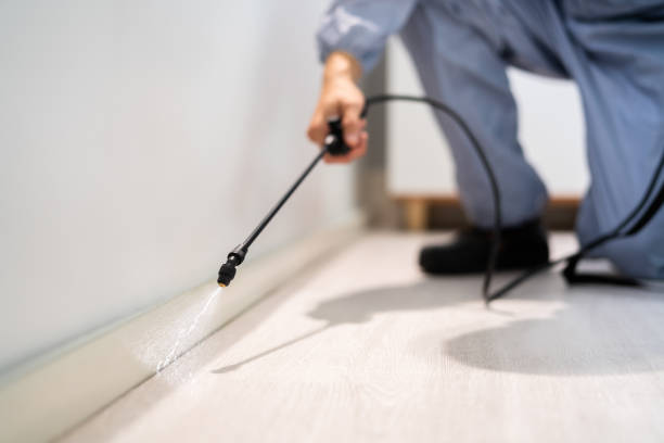 Licensed Rodent Control service in Mulberry, IN - Nex Pest Control