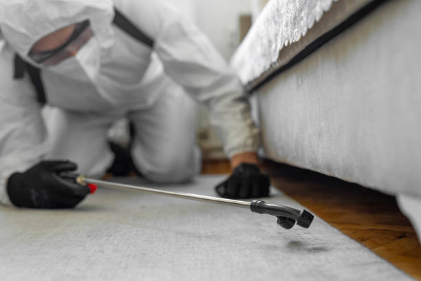 Professional Rodent Control technician working in Mulberry, IN