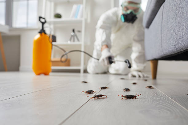 Trusted Cockroach Control service in Mulberry, IN - Nex Pest Control